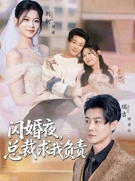 闪婚夜，总裁求我负责